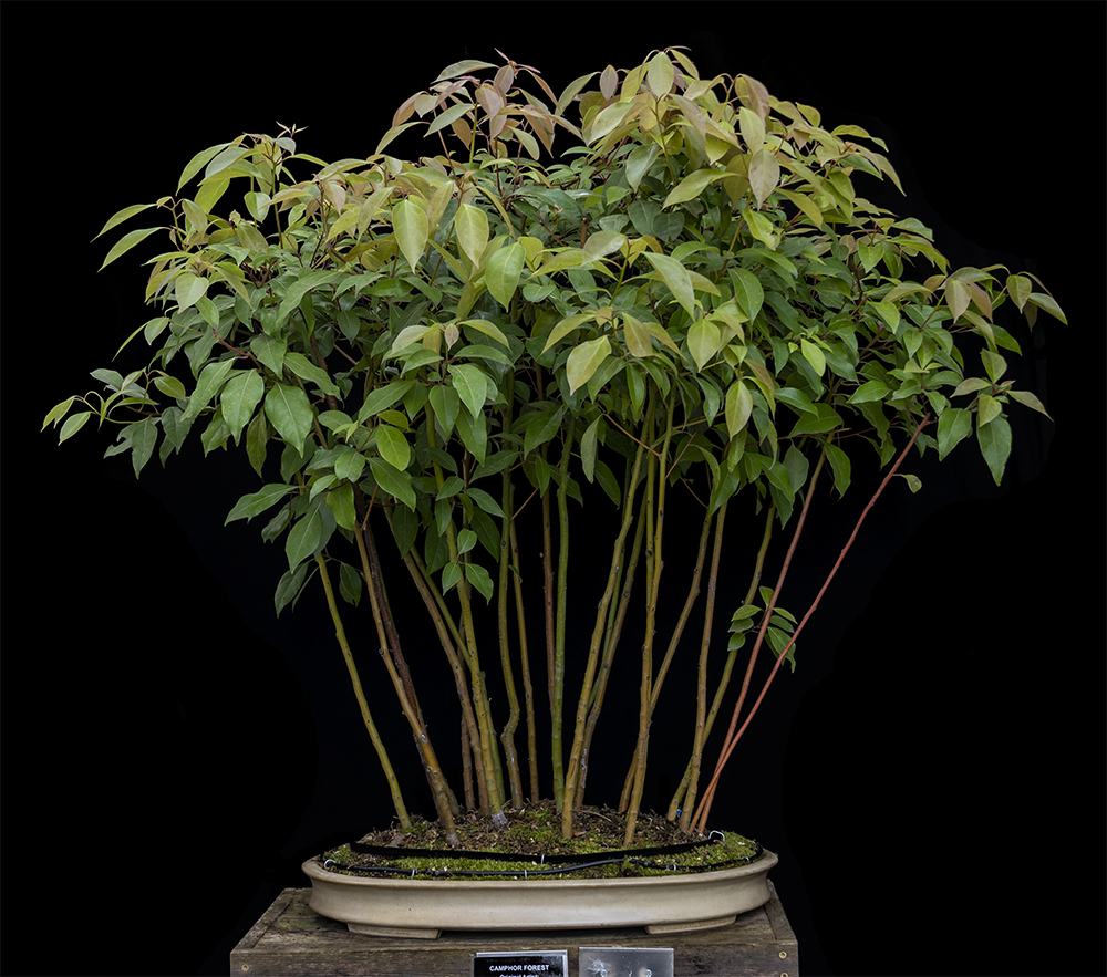 Srping Exhibit_1938-s