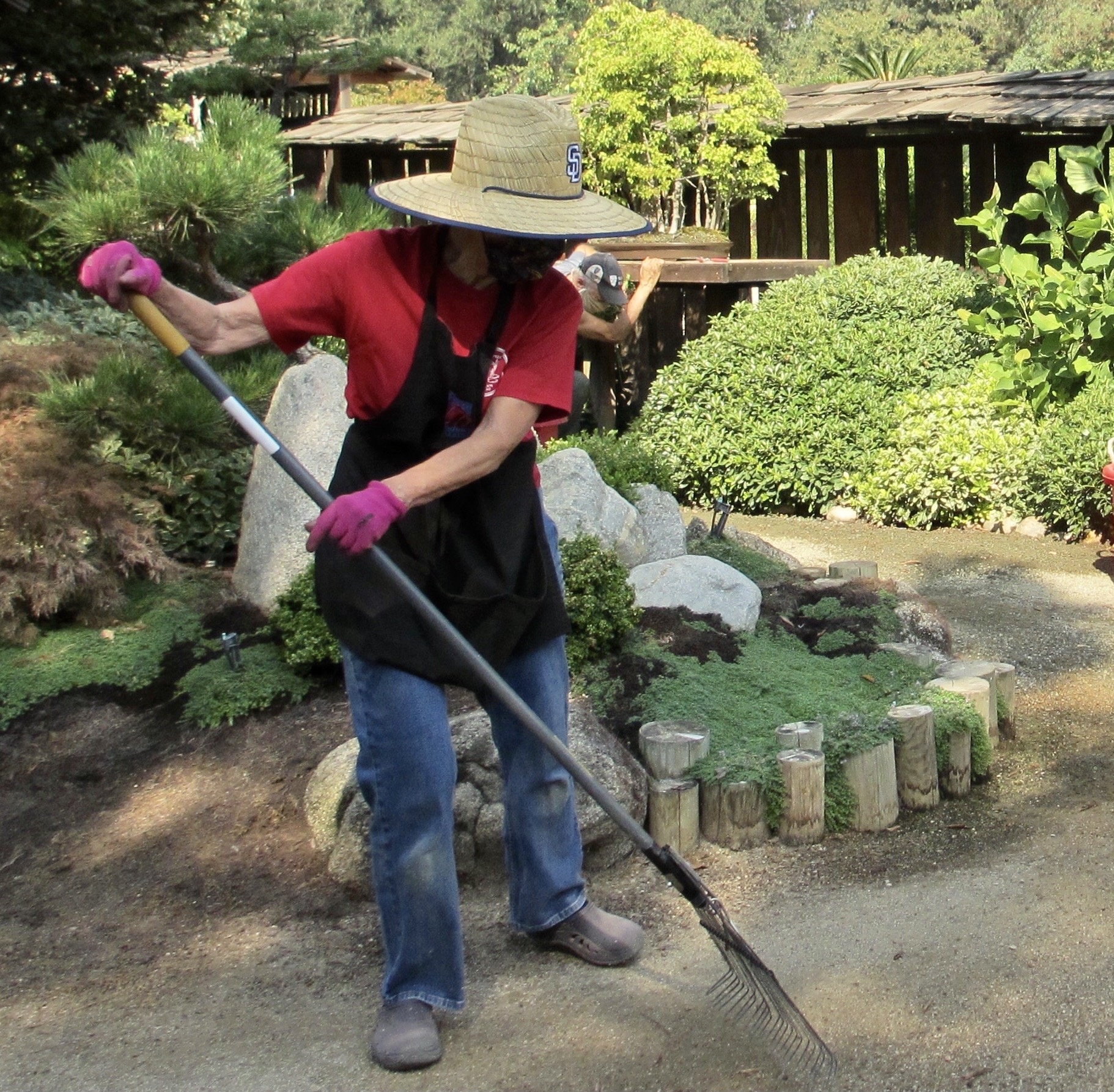 Volunteers raking,jpg