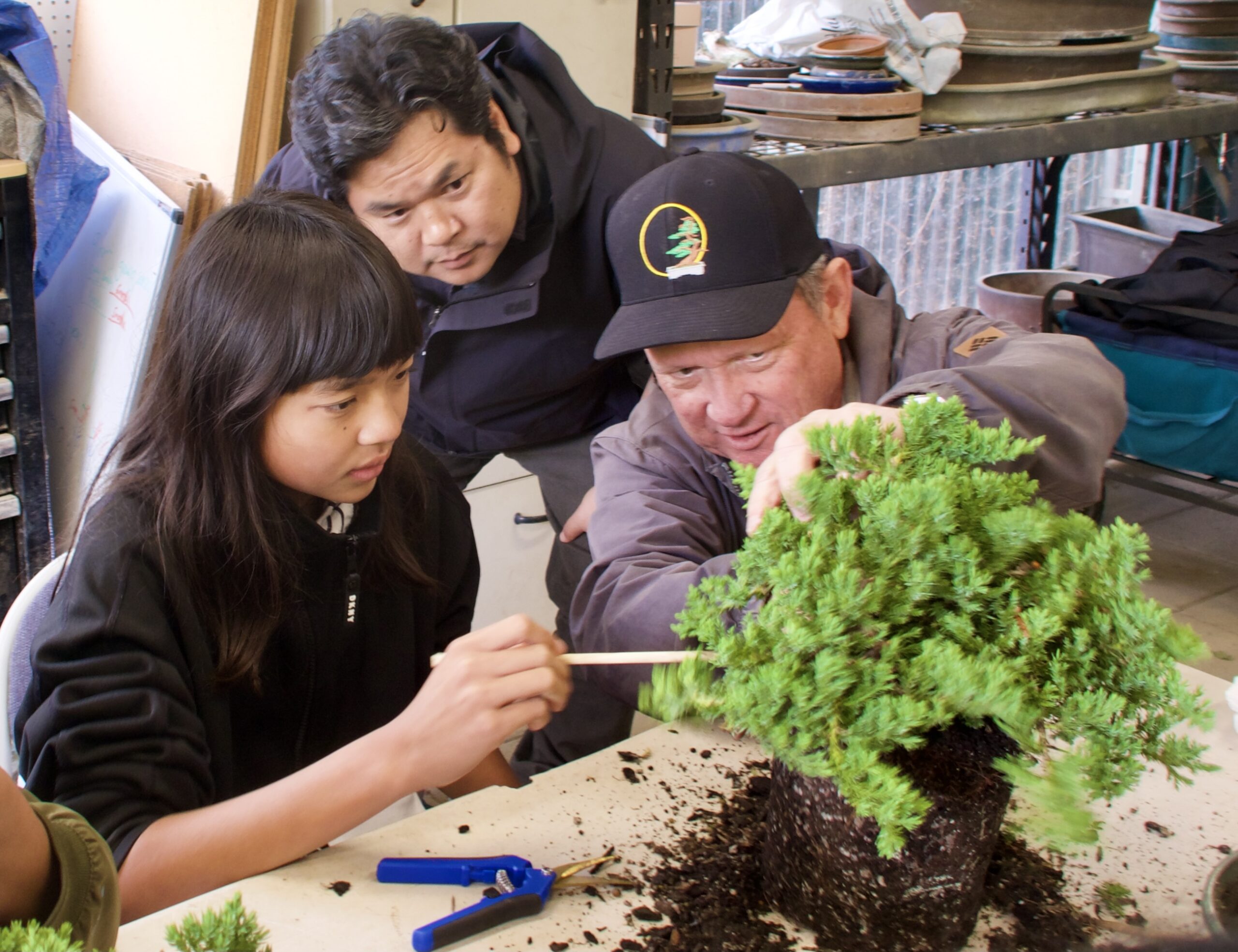 Bonsai Class 1