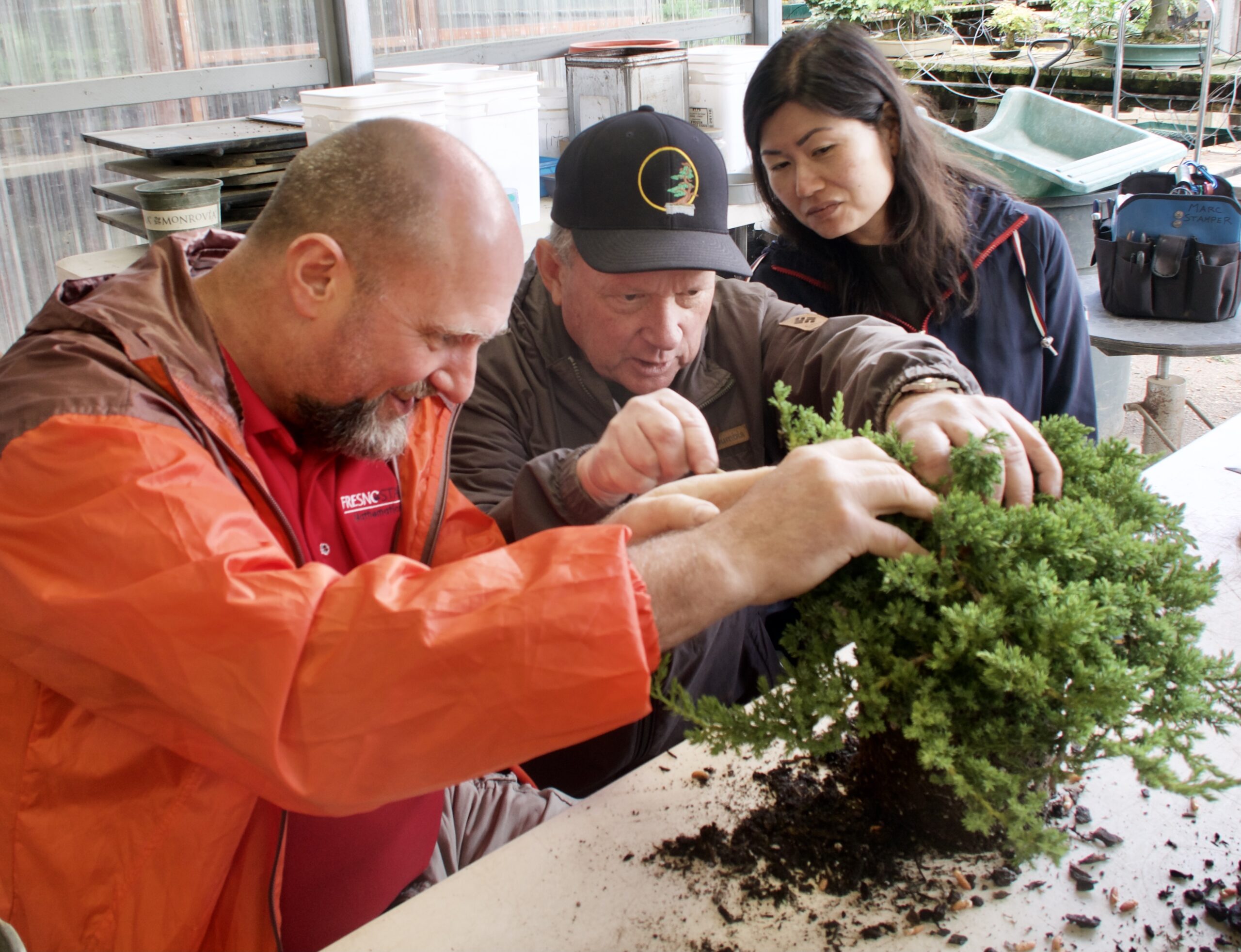 Bonsai Class 2