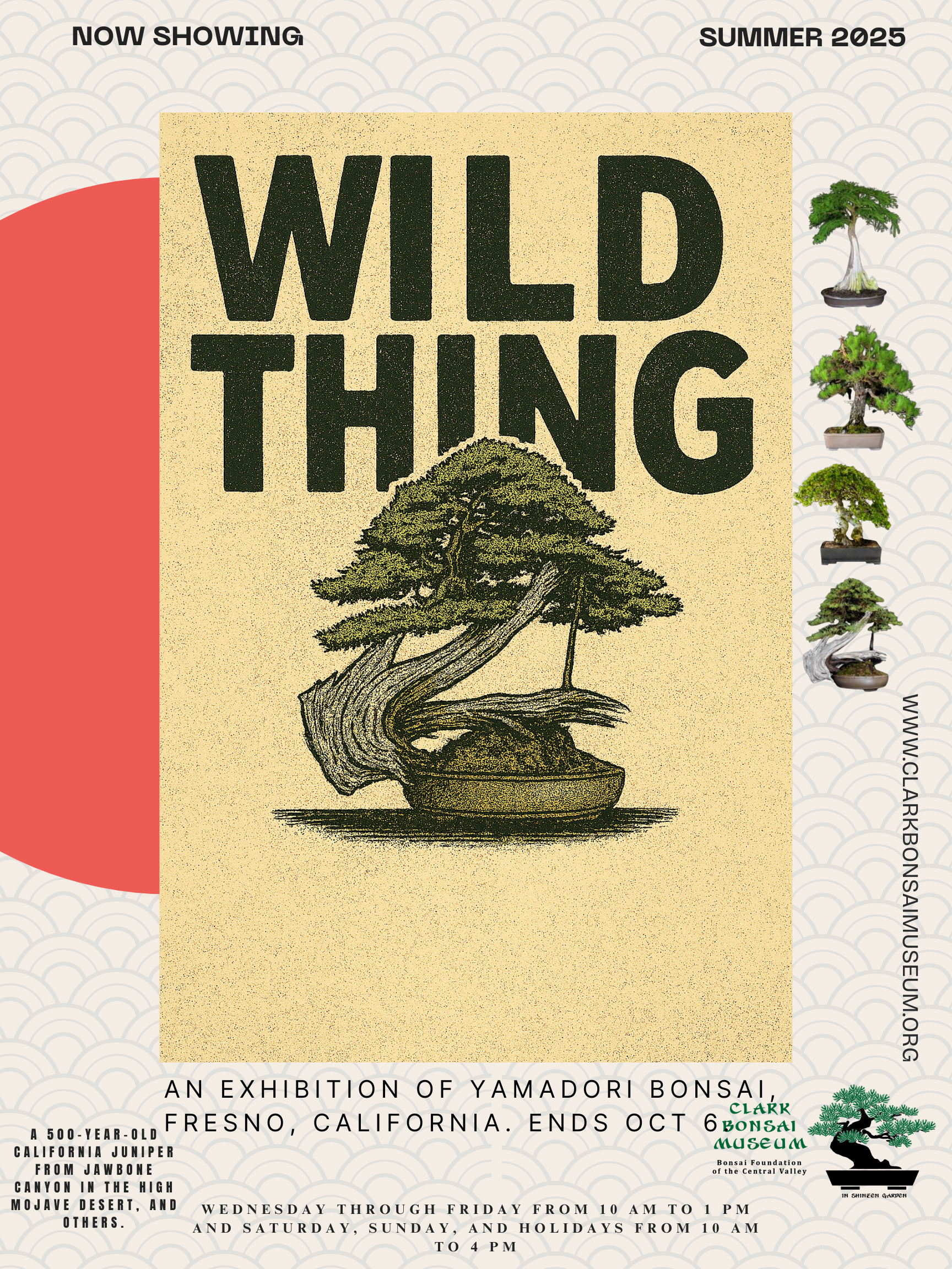 wild thing wild thing