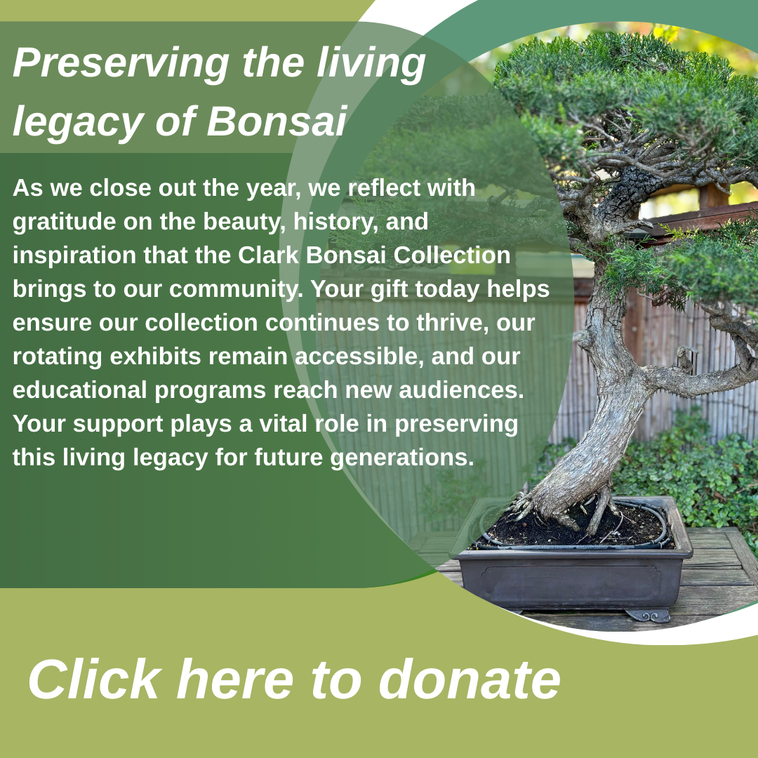 Green Modern Bonsai Exhibition Instagram Post (2)