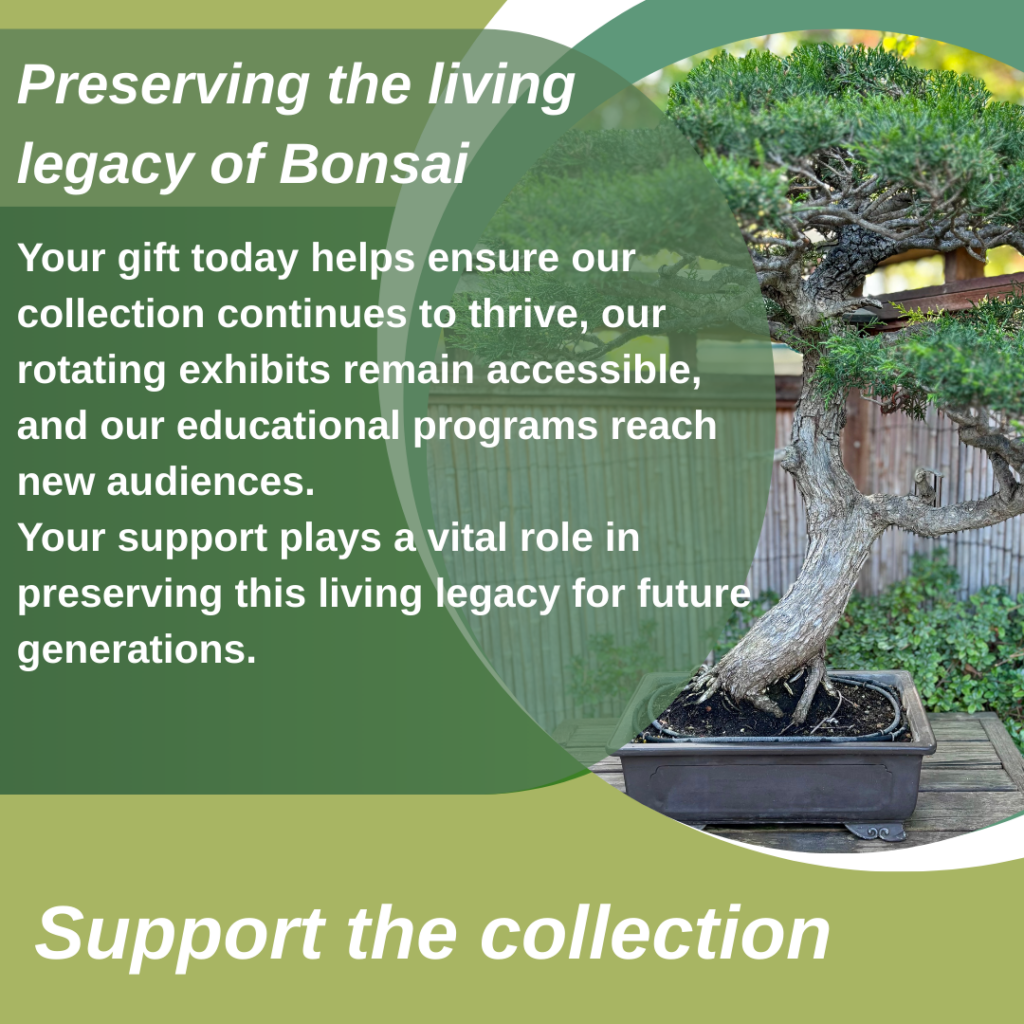Green Modern Bonsai Exhibition Instagram Post