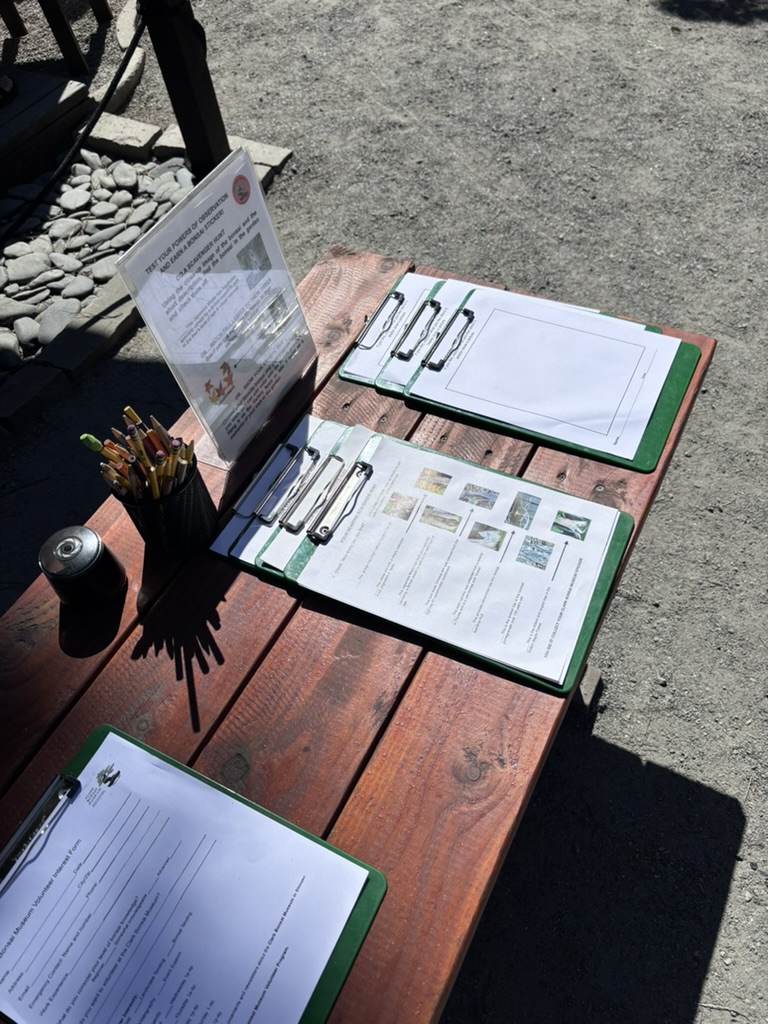 107AB807-3437-4C91-8C83-5E8FDB275475_1_105_c