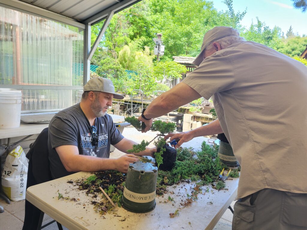 World Bonsai Day 2026 - Clark Bonsai Museum