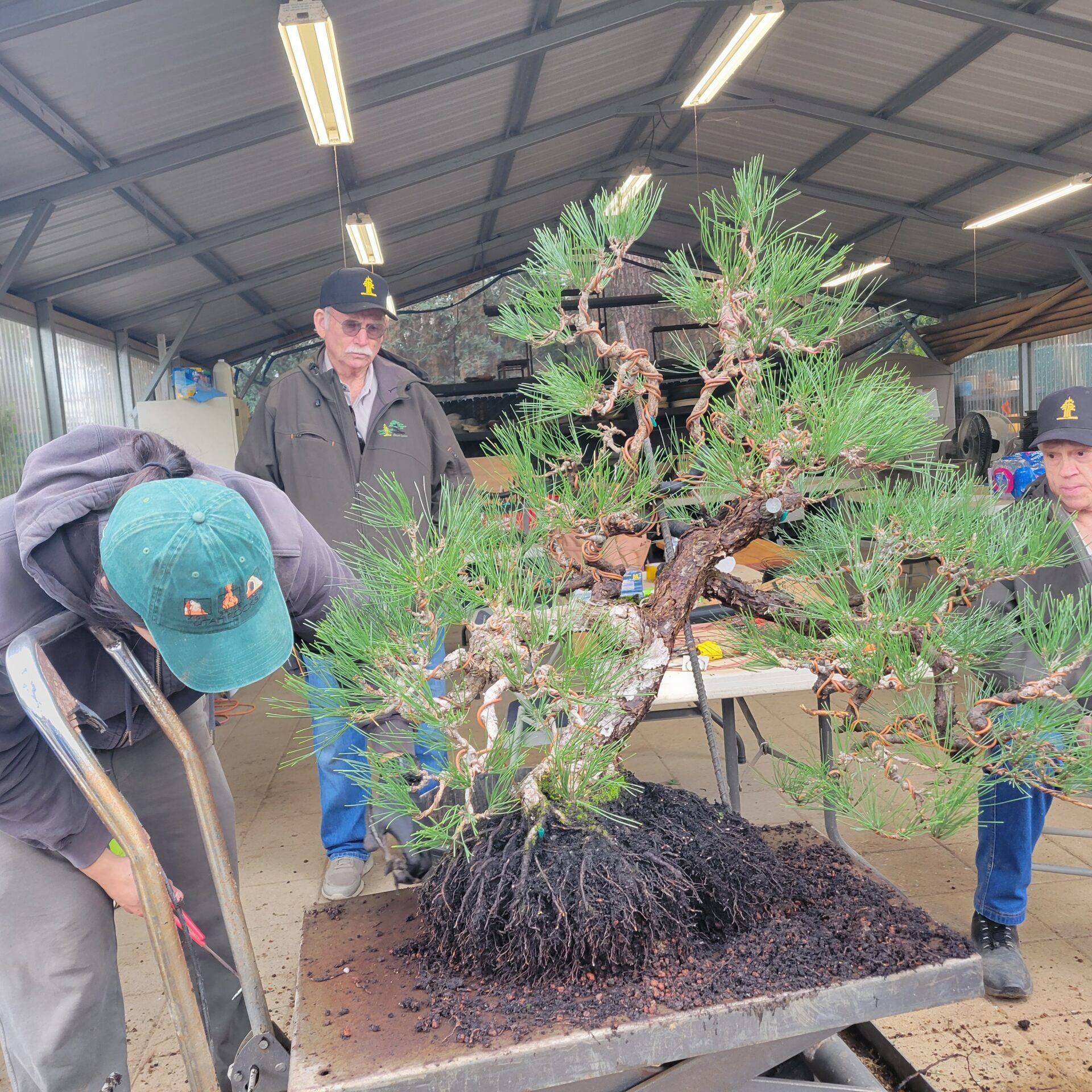 1000001053_e191e0671c1a484bff3a41e907d10d1f-5_22_2025, 12_28_18 AM