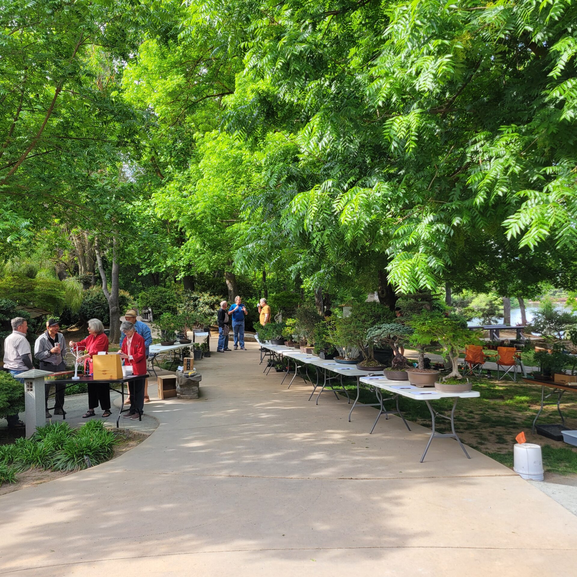 1000001760_0b51dcfc03a0699e03fcdcfcf5b4fae2-5_22_2025, 12_21_19 AM