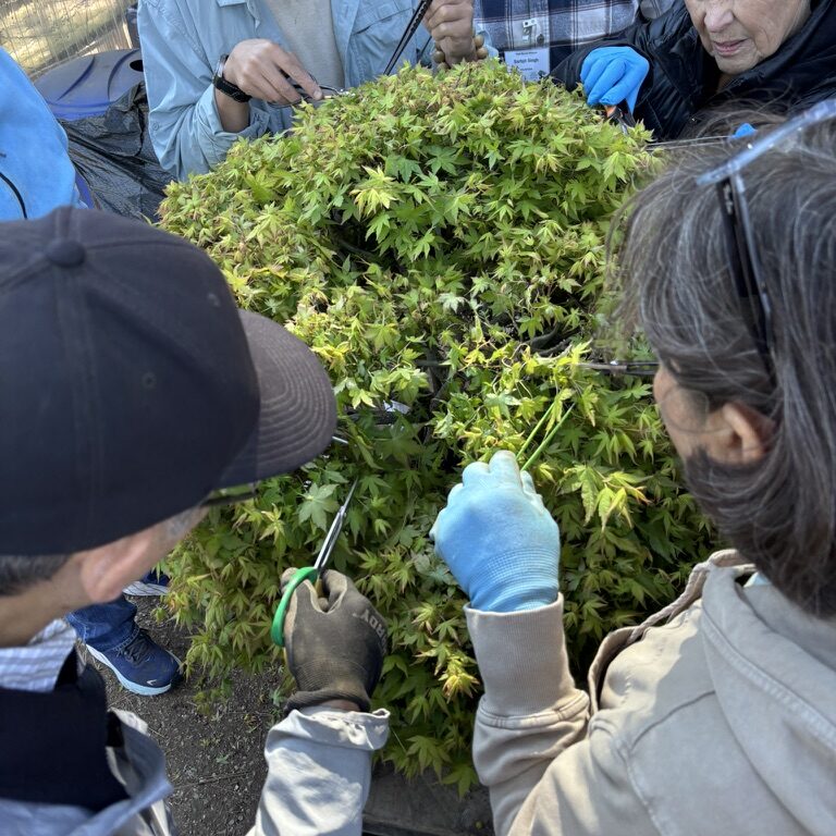 8CCBD577-EE3E-4D30-B447-56735255C212_1_105_c