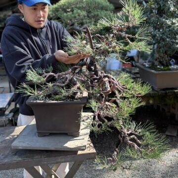 CBE6E0EE-24BE-4DDA-8BA9-487CD2CD2E11_4_5005_c