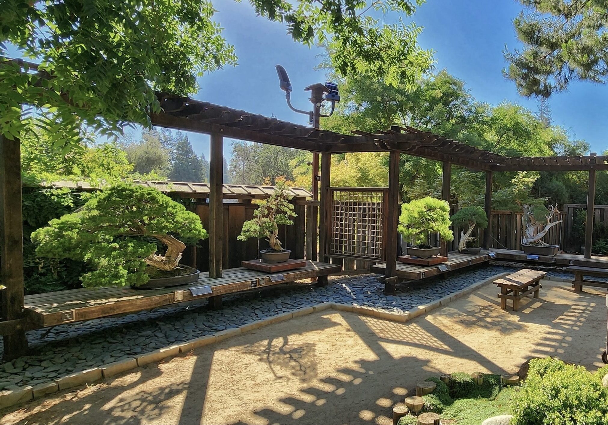 Donation-Bonsai Garden 2