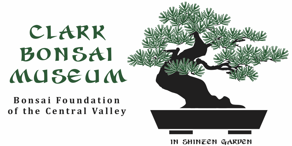 clarkbonsai_museum2024logo_v2 clarkbonsai_museum2024logo_v2